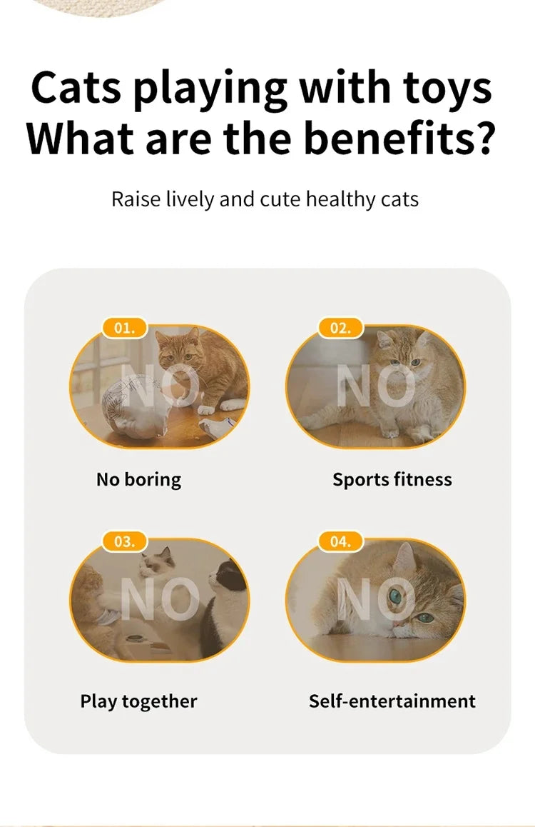 WhiskerHunt – Interactive Hide & Seek Cat Toy