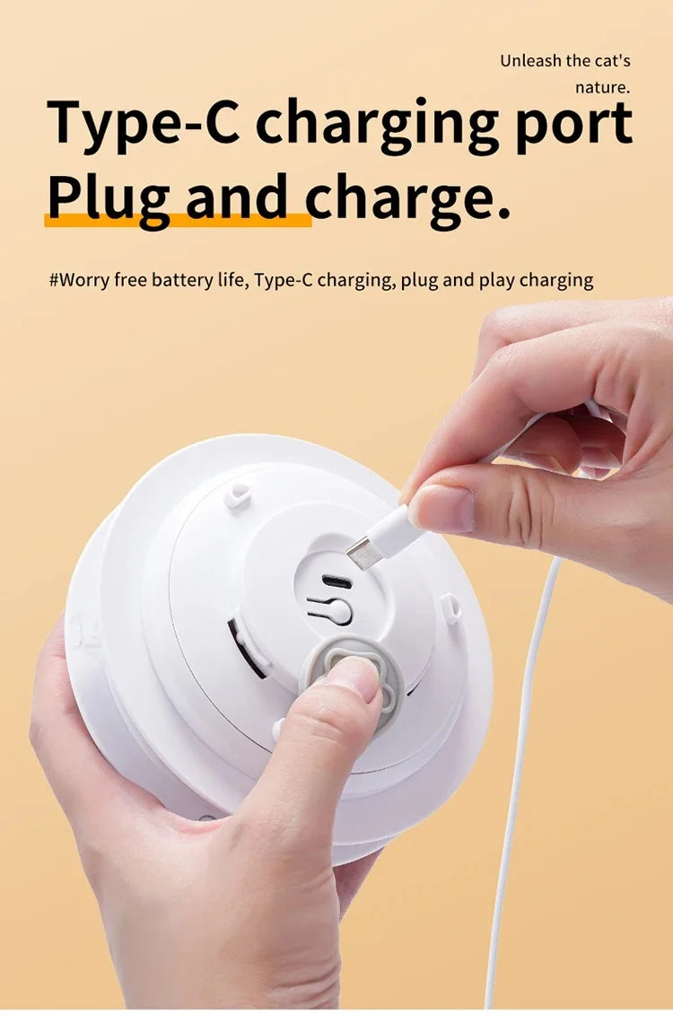 WhiskerHunt – Interactive Hide & Seek Cat Toy